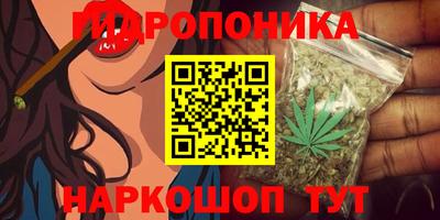 эйфоретик Краснокаменск