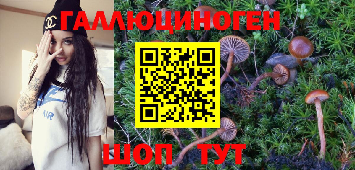 Якутск  Псилоцибиновые грибы мухоморы  Галлюциногенные грибы GOLDEN TEACHER  как найти   Вход с VPN 