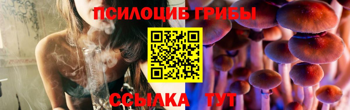 Псилоцибиновые грибы GOLDEN TEACHER Якутск